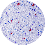 chemical-circle-frame